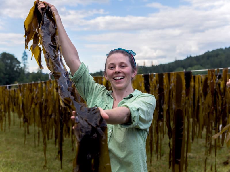 Hanging Bull Kelp Smiling