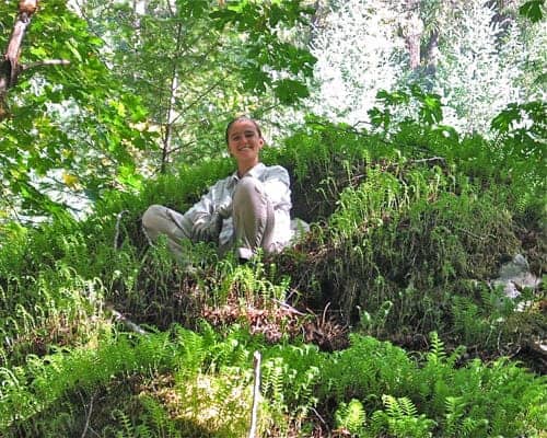 Licorice Fern - Naturespirit Herbs