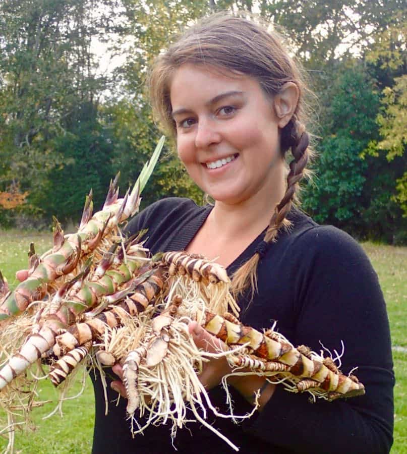 Cassandra with Calamus (Acorus calamus)