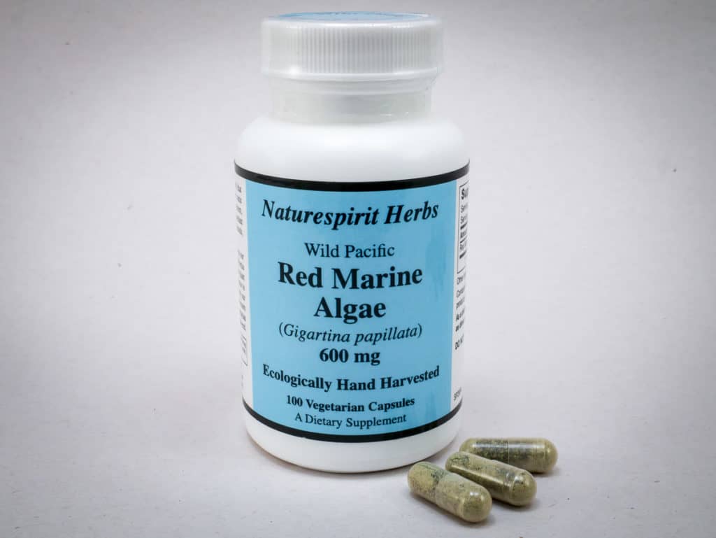 Red Marine Algae Seaweed Capsules