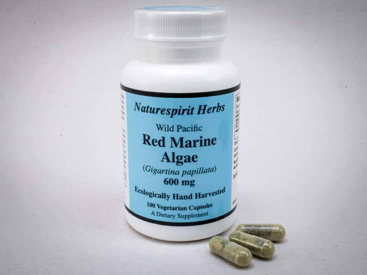 Red Marine Algae Seaweed Capsules