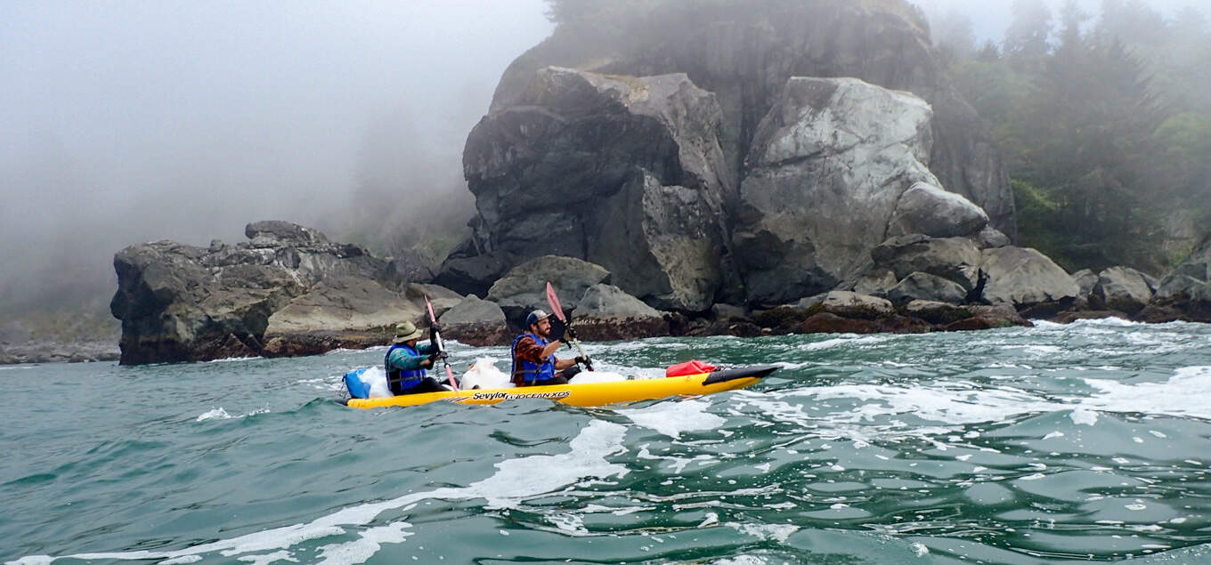 Seaweed Harvest Paddling in