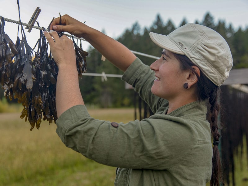 Naturespirit Herbs Reviews - Hanging Seaweed