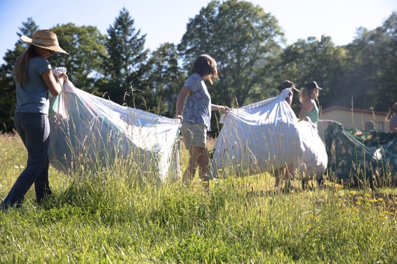 Carrying Kelp - 2019 Harvest Notes