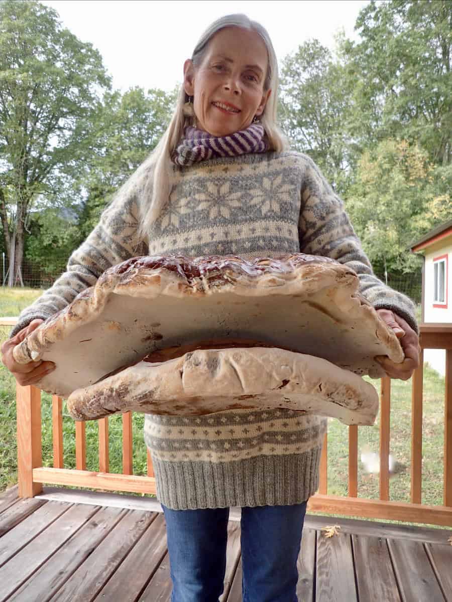 Kari with Giant Double Reishi A