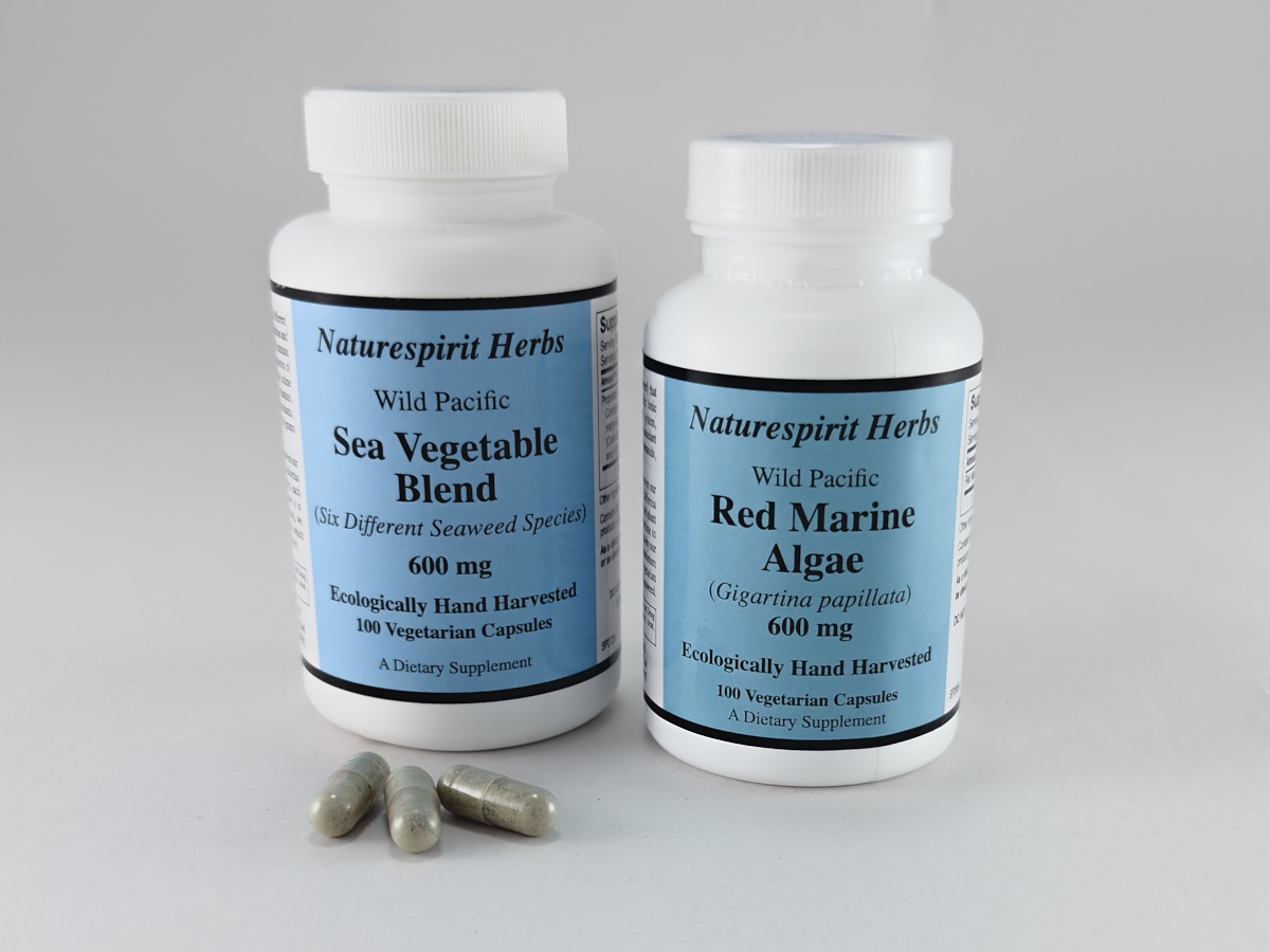 Bottles of Sea Vegetable Blend Capsules and Red Marine Algae Capsules next to each other in a clean, crisp setting.