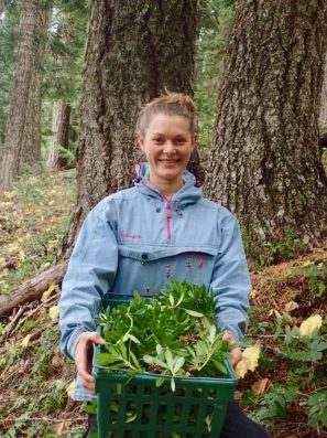 Inka Holding Pipsissewa Chimaphila umbellata.